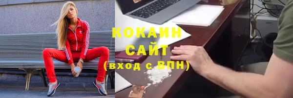 шишки Михайлов