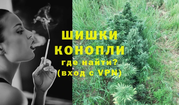 шишки Михайлов
