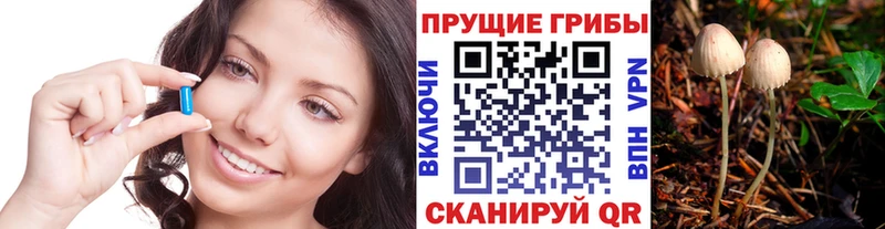 Купить  Мичуринск  Галлюциногенные грибы Magic Shrooms 